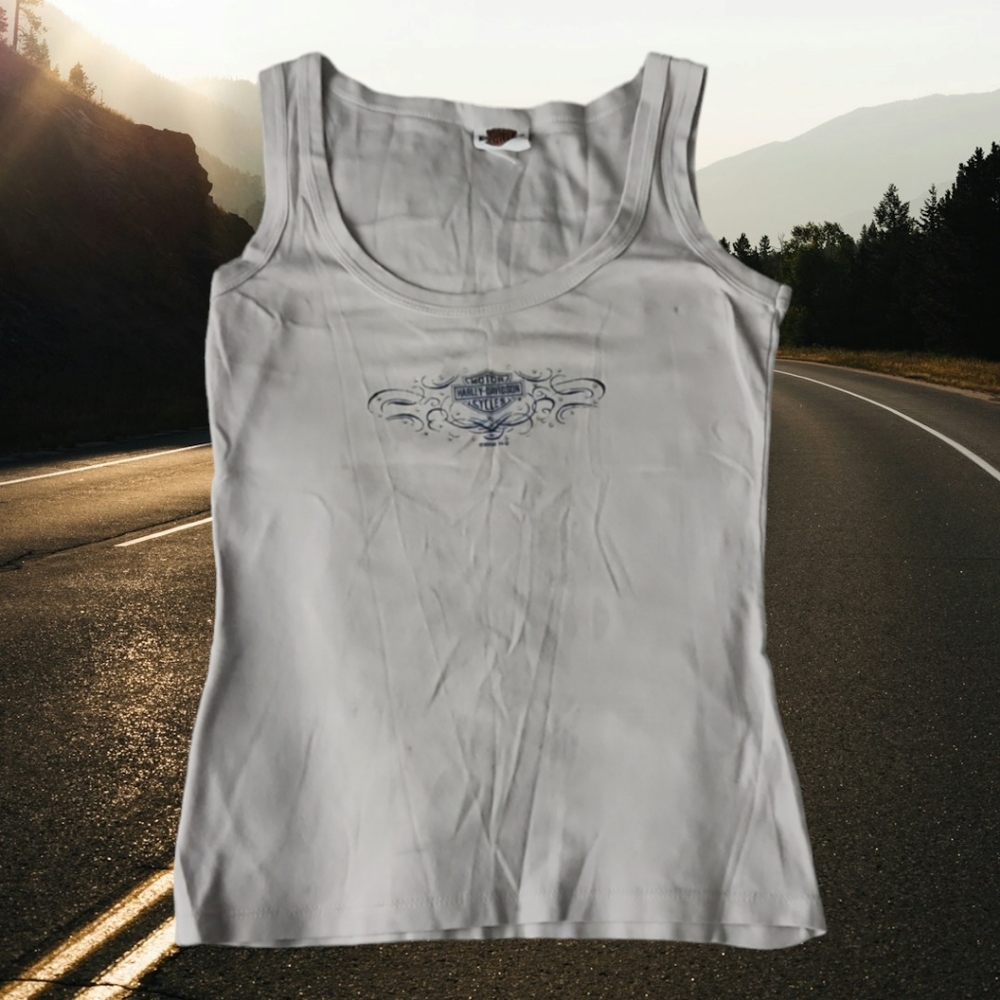 Harley Davidson 2009‎ tank